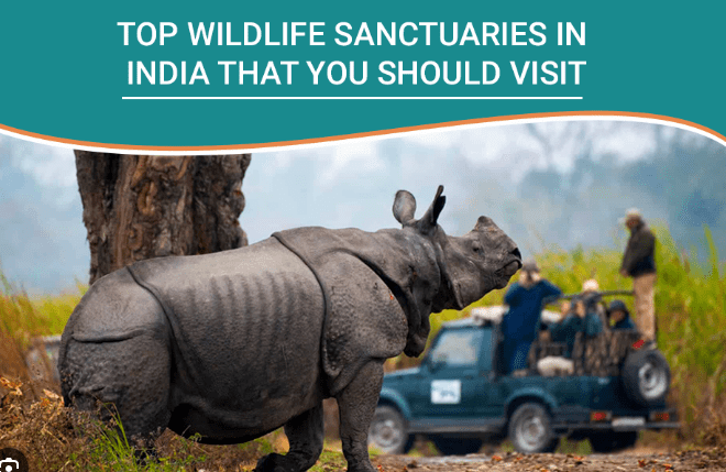 India's Best Wildlife Sanctuaries